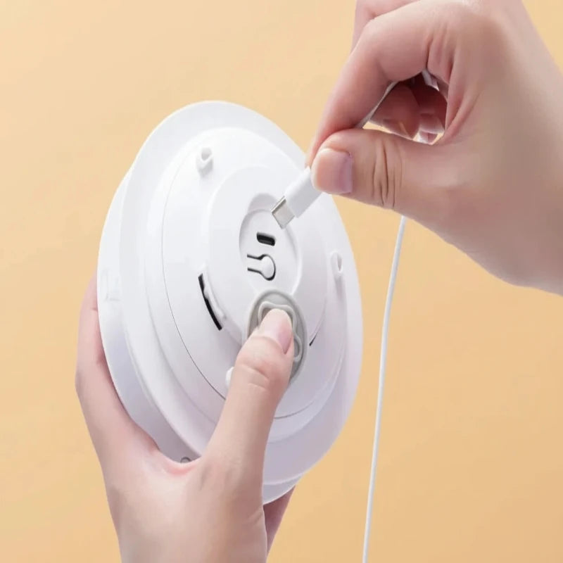 Jouet éducatif cache-cache avec souris Félismart - Mur&Moi