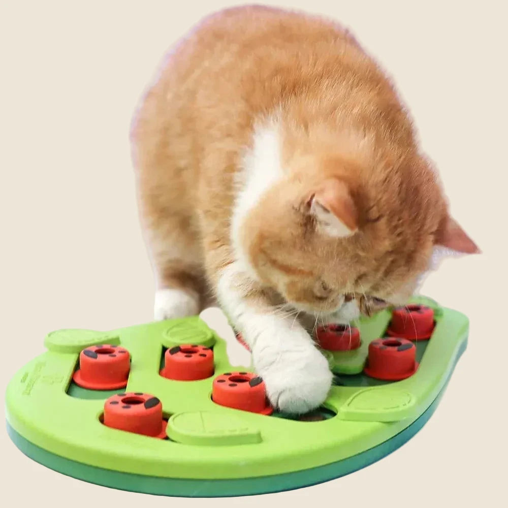 Rainy Day Puzzle & Play - Interactive Cat Treat Puzzle Cat Toys Leaks Food Cat Scratch Board - Mur&Moi