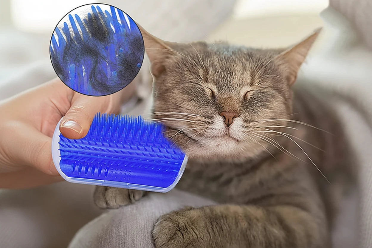 Massage Pet Cat Brush Corner Scrape Hair Removal Beauty Clean Corner Brush Removable Scratcher Comb for Kitten Cat - Mur&Moi