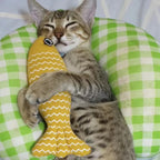 Cat Toys Fish Interactive Cat Toy Cat Chew Toy Simulation Fish Cat Pillow Kitten Exercise Kicker Toys for Indoor Cats Kitty Kit - Mur&Moi